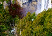 Eugenia Falls 
